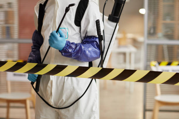 Professional Sewage Cleanup technician working in Homer, NE